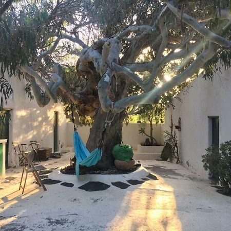 La Asomada  Patio II Studio At Finca מראה חיצוני תמונה
